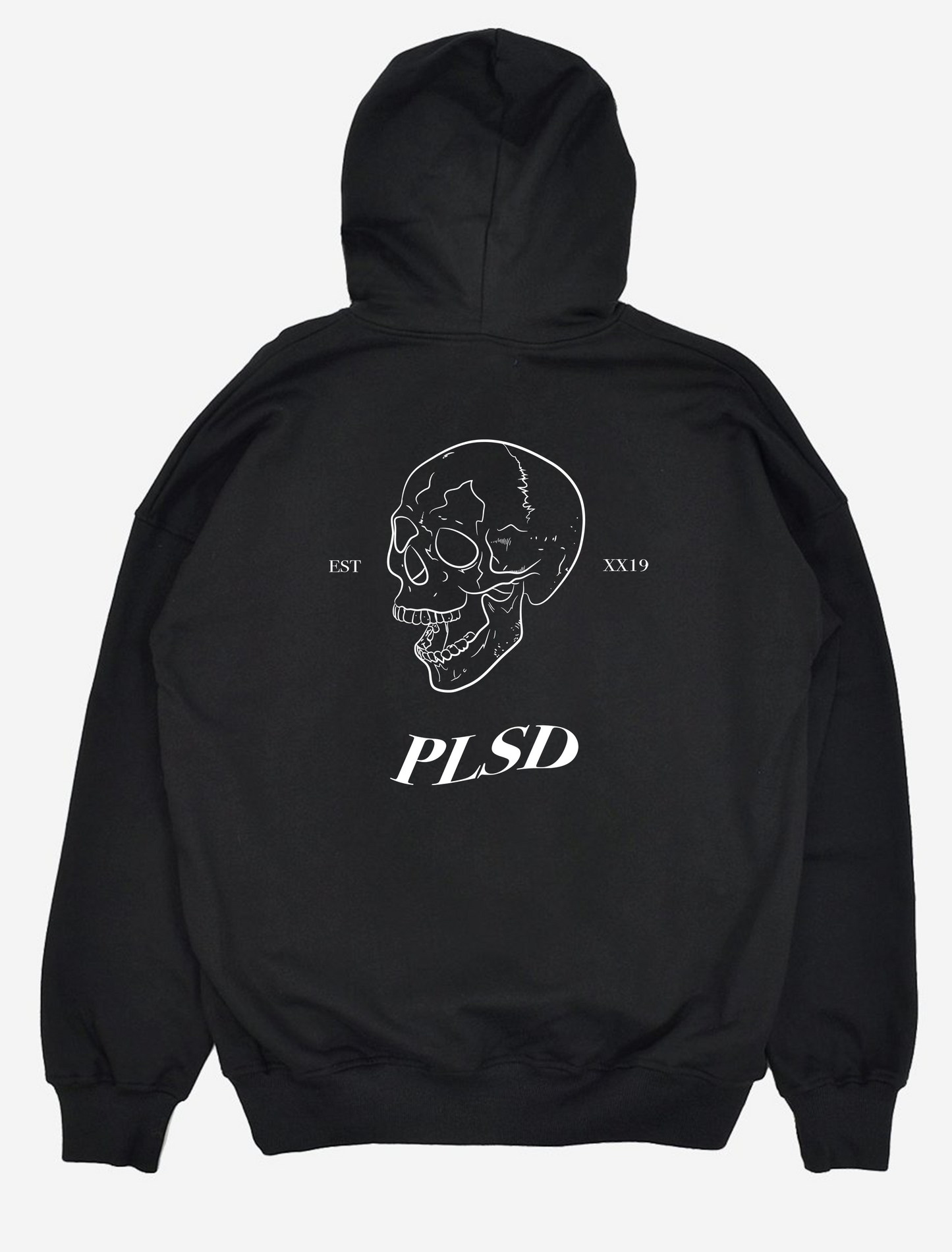 ESTABLISHED XX19 HOODIE