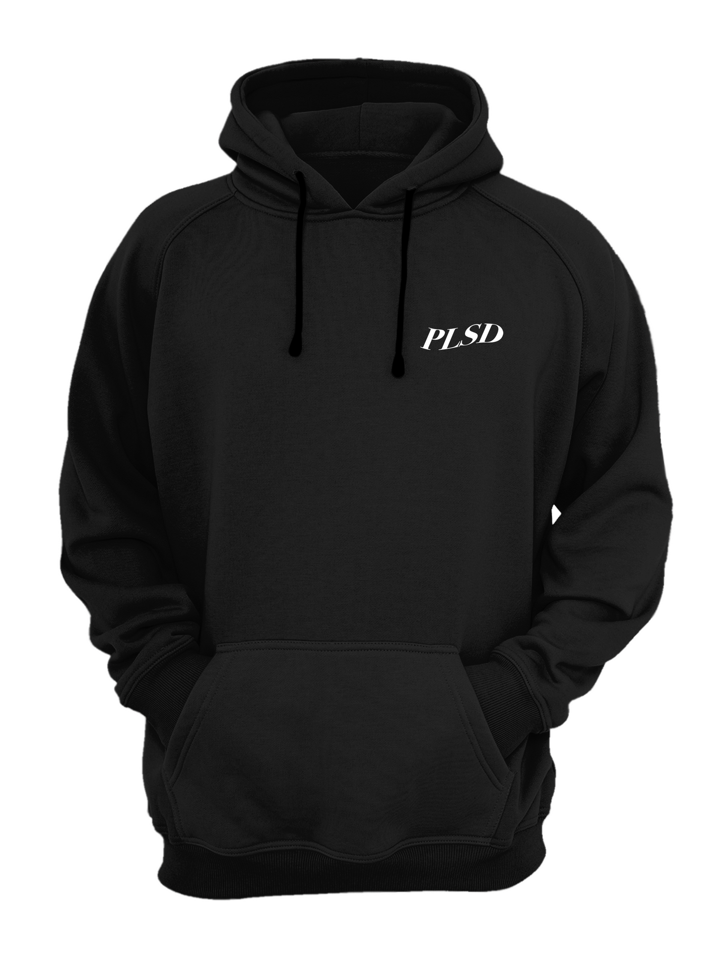 ESTABLISHED XX19 HOODIE